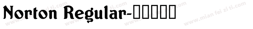Norton Regular字体转换